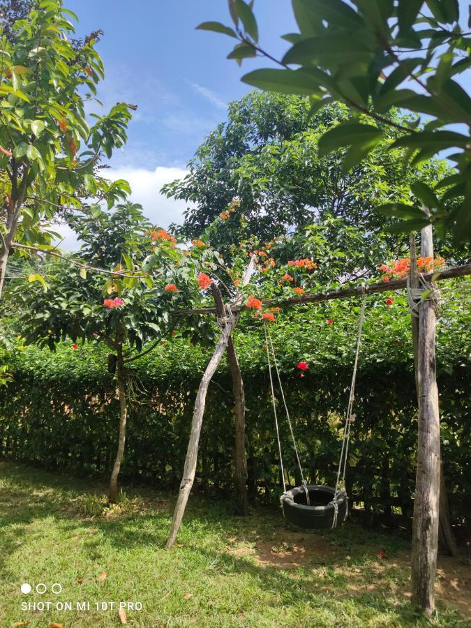 Bebe Homestay Phú Quốc Ngoại thất bức ảnh