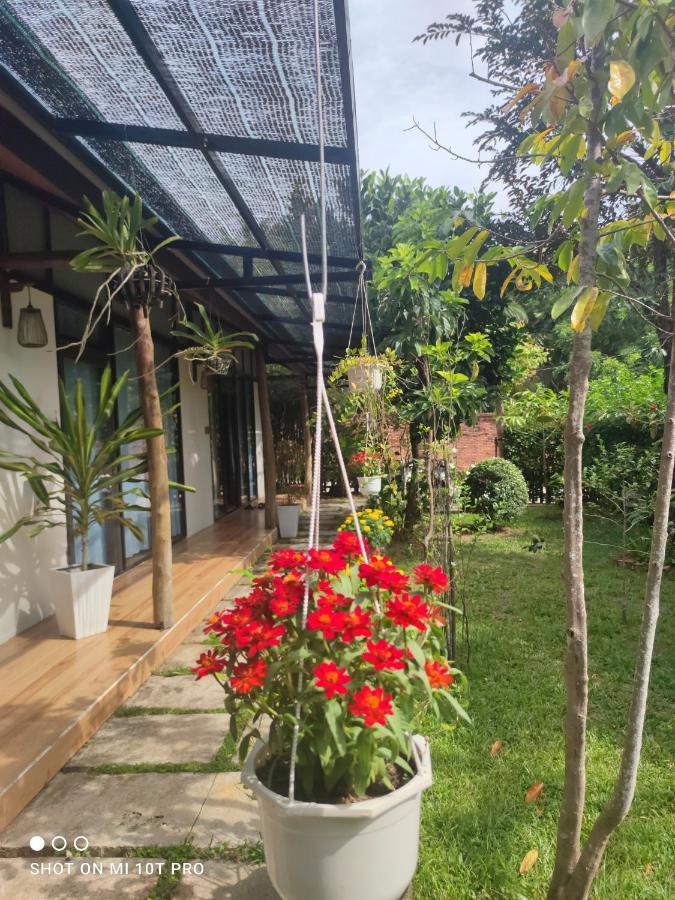 Bebe Homestay Phú Quốc Ngoại thất bức ảnh